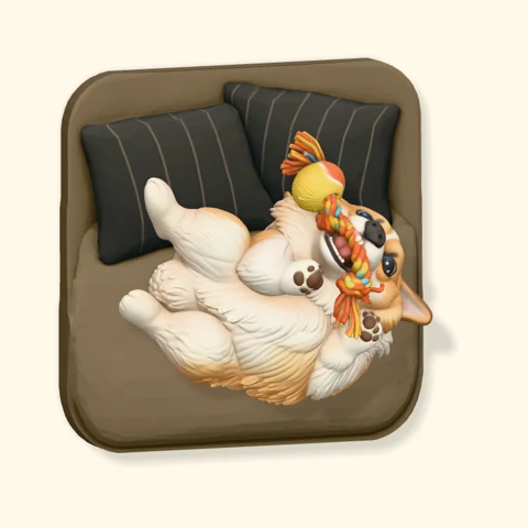 Corgi lying on its back with a colorful rope toy on a Poptile magnet.