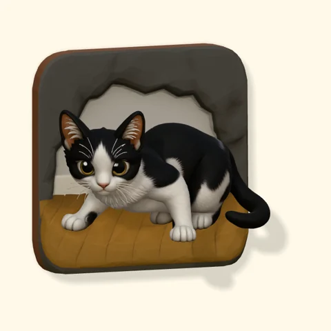 Black-and-white cat exploring beneath the sofa.